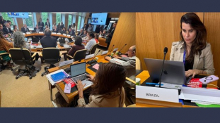 Anamatra debate cooperação internacional durante Conferência da OIT							