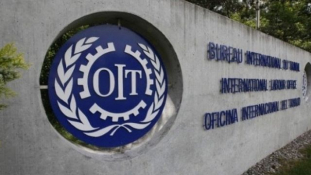 Câmara aprova urgência para análise de convenções da OIT sobre igualdade e combate à violência no trabalho							